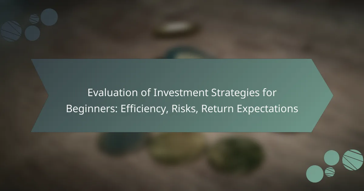 Evaluation of Investment Strategies for Beginners: Efficiency, Risks, Return Expectations