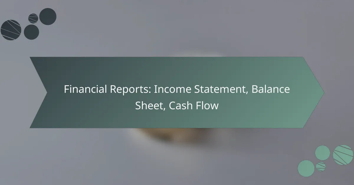 Financial Reports: Income Statement, Balance Sheet, Cash Flow