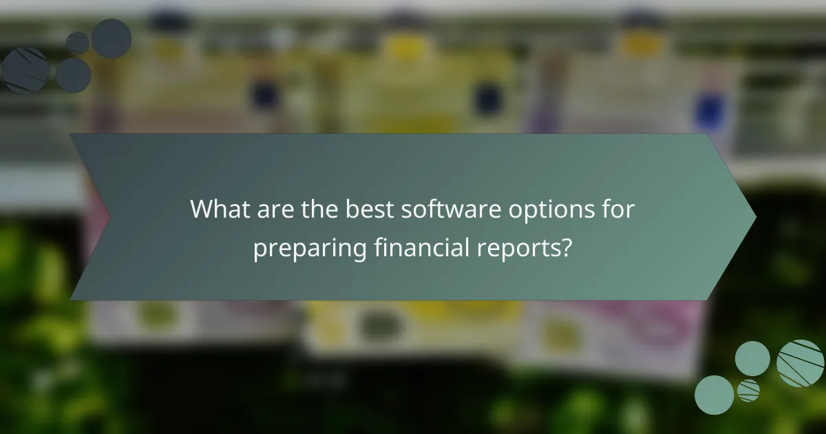 What are the best software options for preparing financial reports?