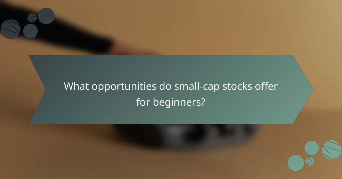 What opportunities do small-cap stocks offer for beginners?